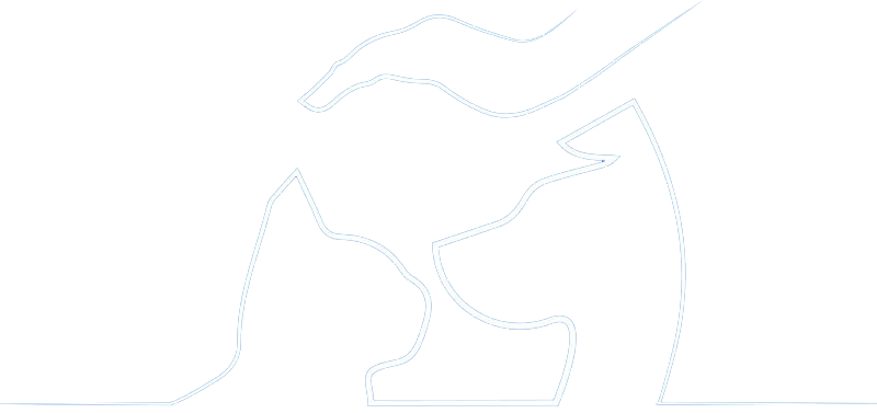 Logo Clinique Vétérinaire de la Ruche